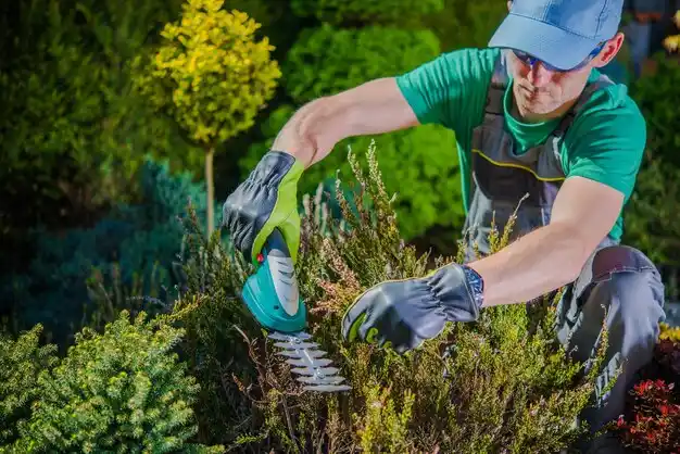 landscaping services Plandome Manor